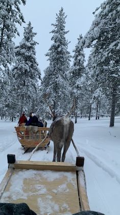 a reindeer pulling a sleigh with people in it