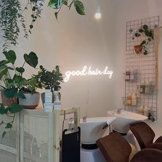 a salon with chairs and plants in the corner, on display for people to see