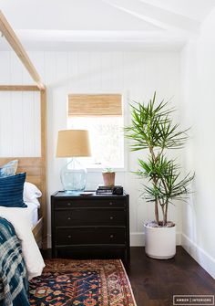 a bed room with a neatly made bed and a plant