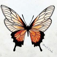 a drawing of a butterfly with orange wings