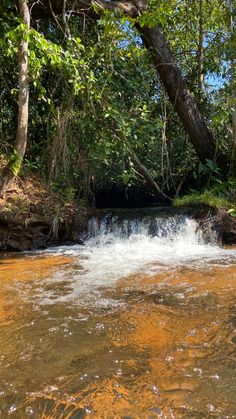 a river running through a lush green forest