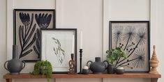 some vases are sitting on a shelf with plants and pictures above them in front of a white wall