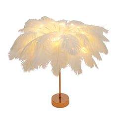 a white feather lamp on a wooden base