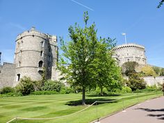 a large castle with a tree in the foreground and a walkway leading to it