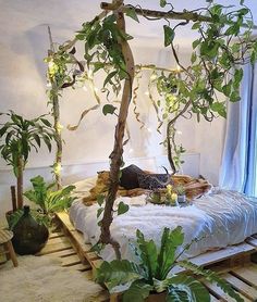 a bed made out of wooden pallets with plants on the side and lights hanging from them