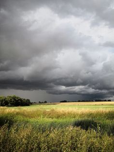 an open field with storm clouds in the background