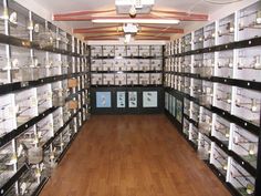 a room filled with lots of glass cases and shelves full of small items on wooden floors