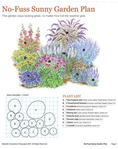 the garden plan is shown with flowers and plants in different colors, including lavenders