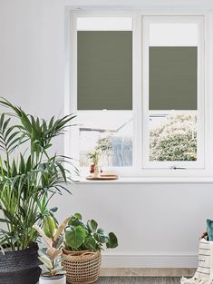 two plants are sitting in front of a window with blinds on the windowsills