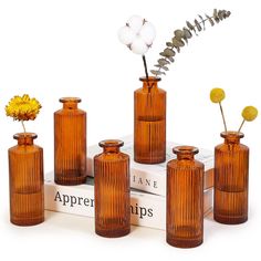 five brown vases with yellow flowers in them on top of a stack of books