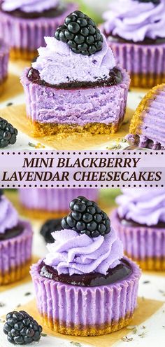 mini blackberry lavender cheesecakes with blackberries on top