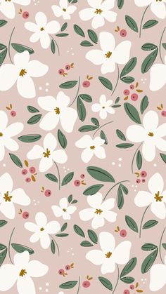 a pink background with white flowers and green leaves