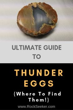 the ultimate guide to thunder eggs, where to find them and how to use them