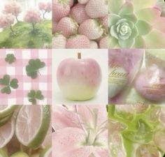 a collage of pink and green images with flowers, fruit, and succulents