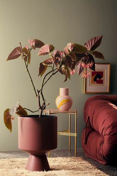 a potted plant sitting on top of a table next to a red couch in a living room