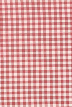 a red and white checkered tablecloth is shown in close up, it looks like the fabric has been woven on