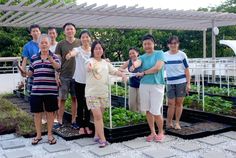 a group of people standing next to each other in front of a planter filled with lettuce