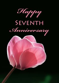 a pink flower with the words happy fifteenth anniversary