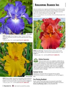 three different types of flowers are featured in this article, including irises and bearded irises