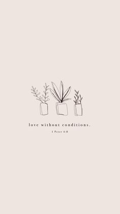 three potted plants with the words love without conditions written on them in black ink