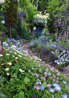 a garden filled with lots of different types of flowers