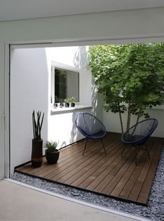 two blue chairs sitting on top of a wooden floor next to a tree and potted plant