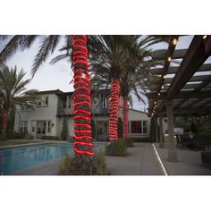 lighted palm trees next to a pool in front of a house with lights on it