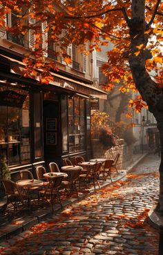 an empty street with tables and chairs in the fall leaves on the cobblestone