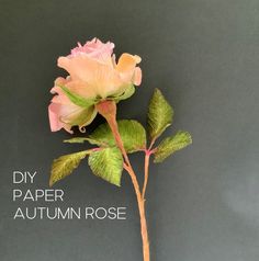 a single pink rose with green leaves on a gray background that says diy paper autumn rose