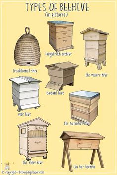 different types of beehives are shown in this diagram, with the names below