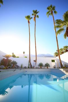 a swimming pool with palm trees in the background