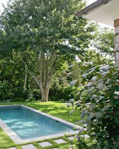 an empty swimming pool in the middle of a lush green yard with trees and bushes