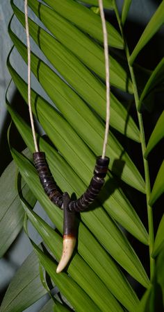 Wolf tooth necklace mens wolf tooth necklace by borderlandsJEWELRY Wolf Tooth Necklace, Wolf Teeth, Animal Teeth, Antler Crafts, Antler Jewelry, Claw Necklace, Wolf Necklace, Wolf Jewelry, Tooth Necklace