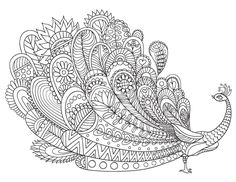 a black and white drawing of a peacock with intricate designs on it's feathers