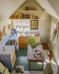 an aerial view of a kitchen and dining area with a dog sitting on the counter