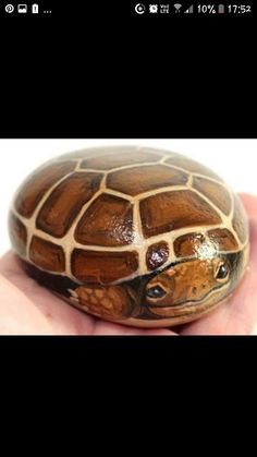 a hand holding a small turtle in it's left side, with the shell painted brown and white