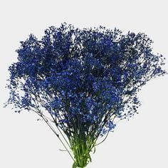 a vase filled with blue flowers on top of a table