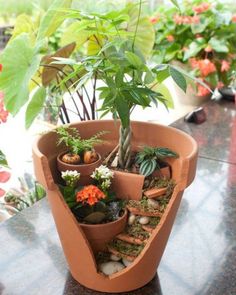 a potted plant is sitting on a table