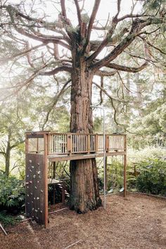 a tree house built into the side of a large tree