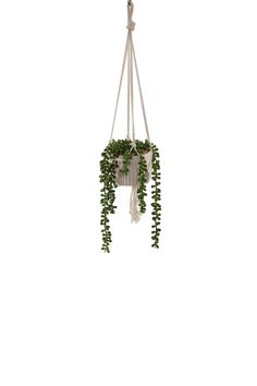 a hanging planter filled with lots of green plants