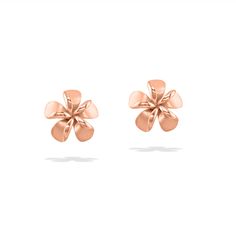 14K Yellow Gold Plumeria Stud Earrings. The Plumeria flower measures approximately 3/8" in width.