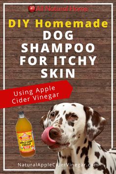 a dalmatian dog with its tongue out and the words diy homemade dog shampoo