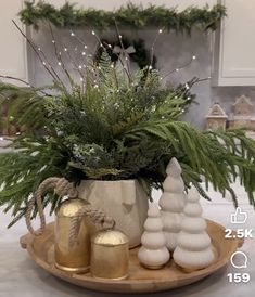 an arrangement of christmas decorations on a tray with pine cones and fir trees in the background