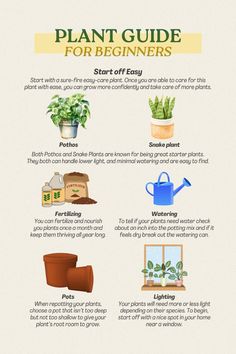 the plant guide for beginners is shown in this graphic, which shows how to use plants