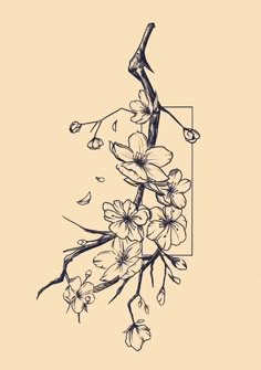 an ink drawing of a branch with flowers on it and a rectangle frame in the background