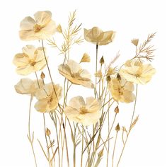 a bunch of flowers that are on a white background with no one in the photo