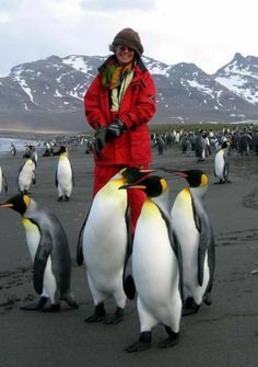 a woman standing next to a group of penguins