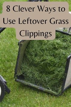 an image of a grass trap with the words 8 clever ways to use leftover grass clippings