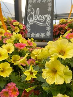 yellow and pink flowers with a welcome sign in the background