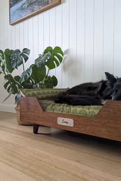 a black cat laying on top of a wooden bed next to a potted plant